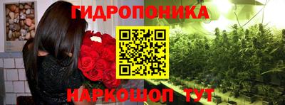 каннабис Гатчина