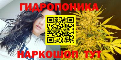 шишки Гагарин