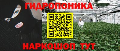 каннабис Гатчина