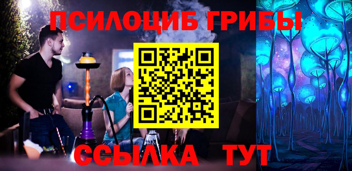 Галлюциногенные грибы Psilocybe  Галлюциногенные грибы Psilocybe  Берёзовский  Вход с VPN 
